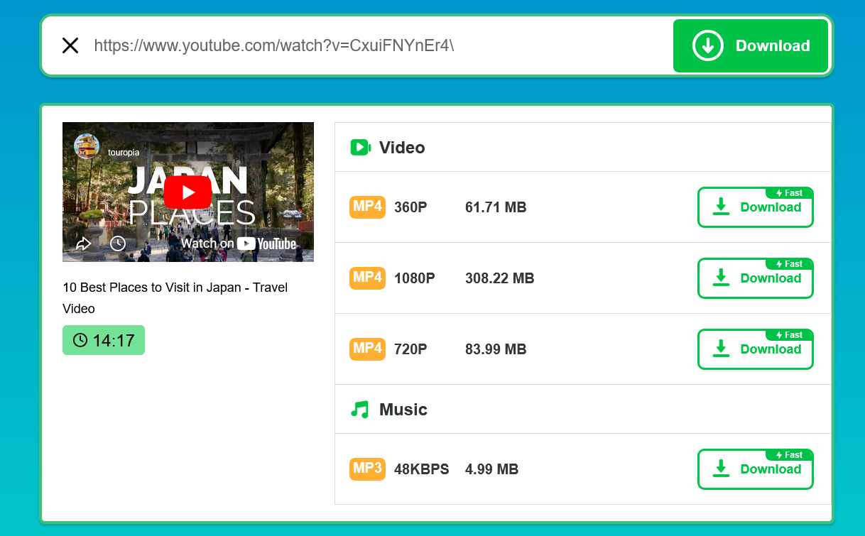 Online video downloader with a YouTube URL pasted into the download field and download options displayed