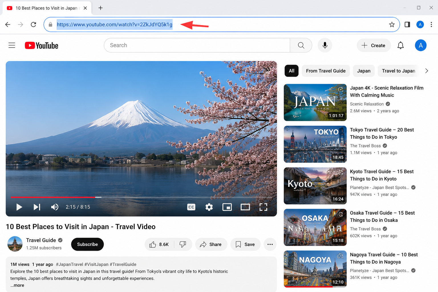Copying a YouTube video URL from the browser address bar